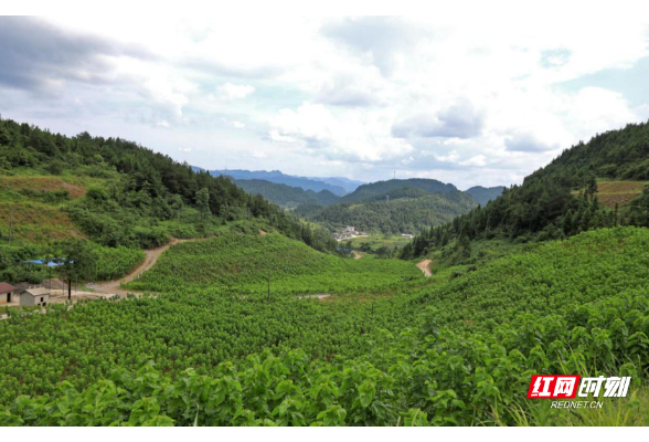 湖南生态环境问题巡视整改典型案例：“锰三角”强力推进整治 守护绿水青山