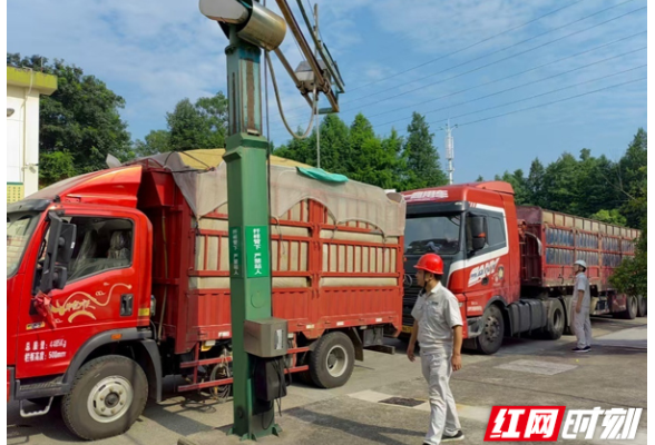 益阳早稻收购“加速跑” 中储粮益阳直属库收购一线直击