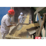 中储粮湘潭直属库：从田间到粮仓 党建引领书写助农“丰收答卷”