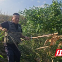 护鸟三年专项行动启动！湖南17部门联手，筑牢候鸟迁徙“安全网”