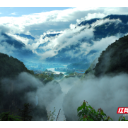 五年以来，湖南石门县野生动物致害保险已理赔超250万元