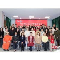 湖南省妇女儿童发展基金会召开2025年度专项基金总结推进会
