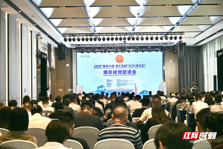 综述丨注入“侨动力” 锻造“湘非链”