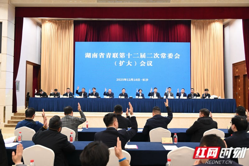 湖南省青联召开第十二届二次常委会（扩大）会议