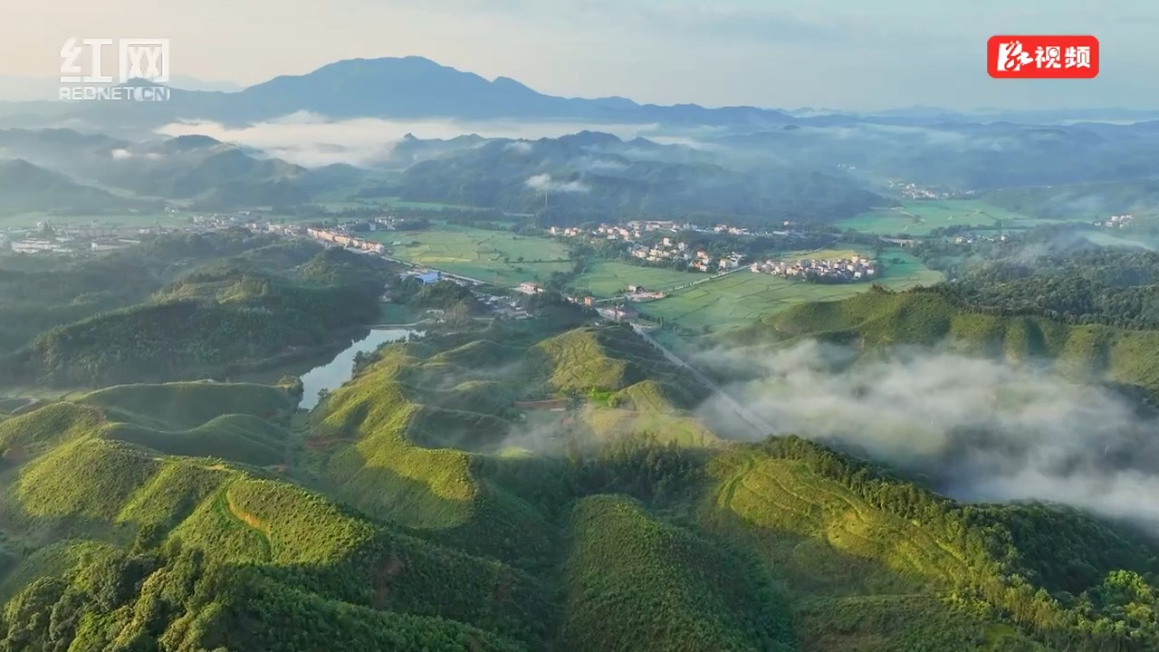 数字乡村建设何以深化?湖南以“育人”破题