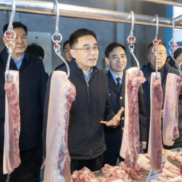 王俊寿率队以“四不两直”方式开展飞行检测 守护“舌尖上的安全”