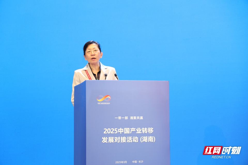 产业“湘”约丨蒋艳：湖南应把握机遇深挖"一带一部"潜力 打造先进制造新高地