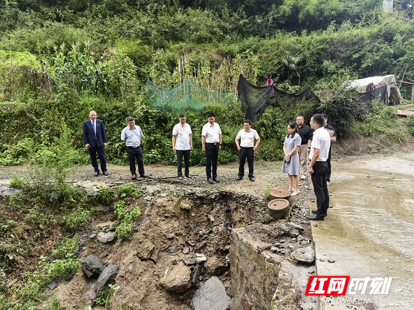 湖南旅游集团赴杨家坪村调研乡村振兴工作