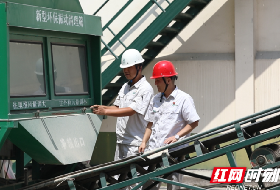 中储粮常德直属库：党建引领早稻收购 确保颗粒归仓