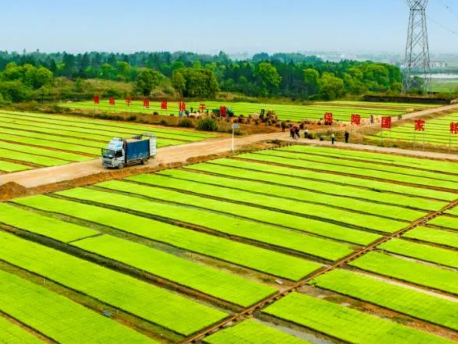 湖南农产品一周行情丨豆角、小龙虾、鲫鱼位居批发价涨幅前三,鸡蛋下跌13.54%