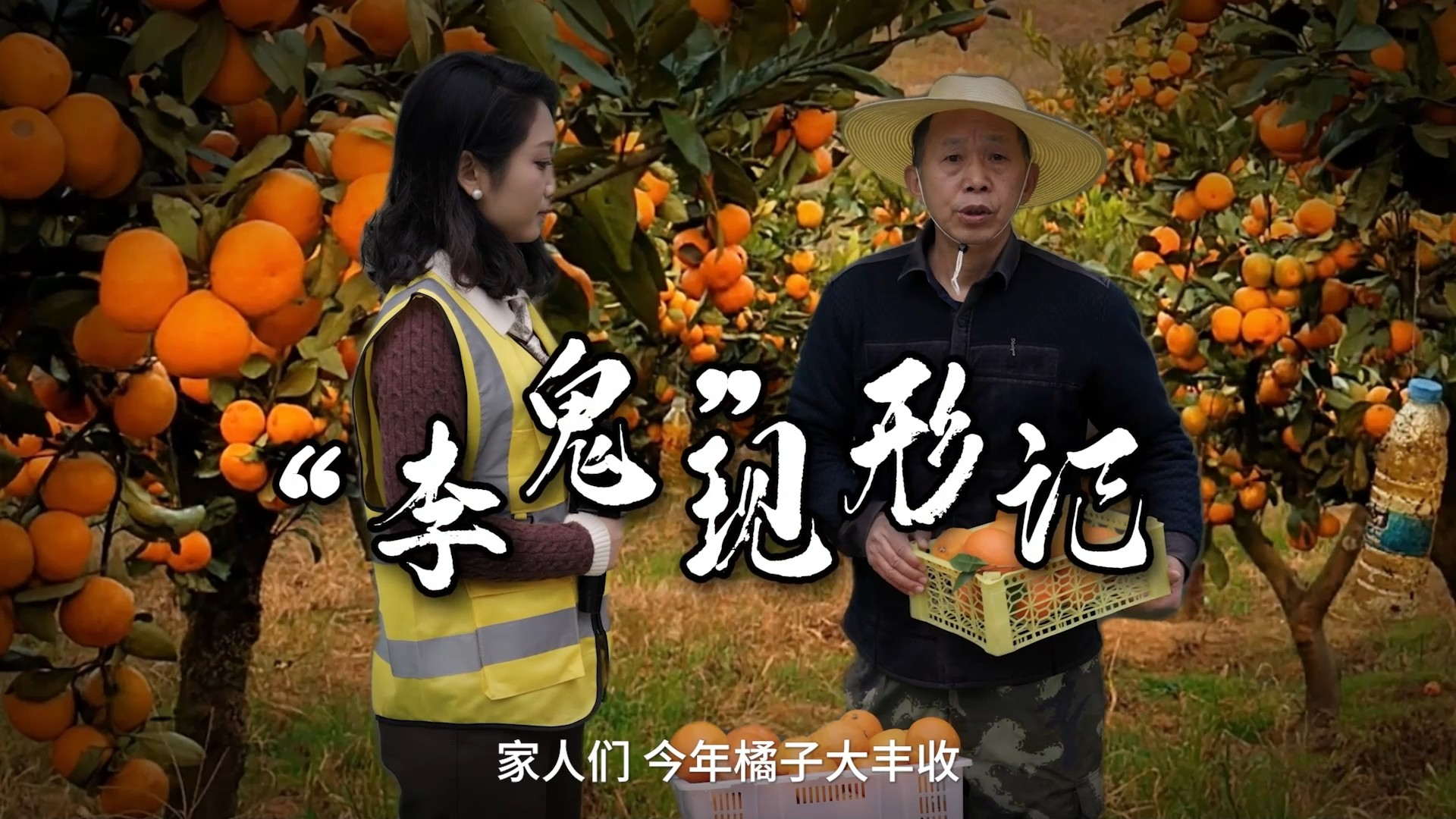 网络普法情景剧⑦ | “李鬼”现形记