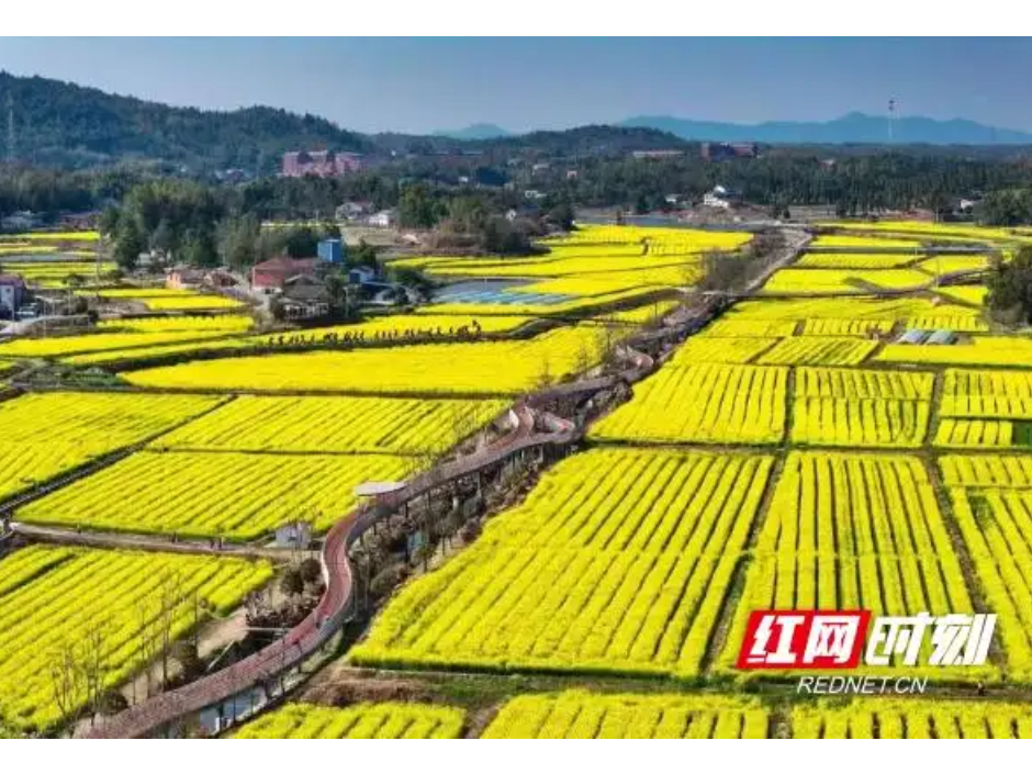 200村拟批准为湖南省级和美乡村建设重点村 快来看看你的家乡入选没