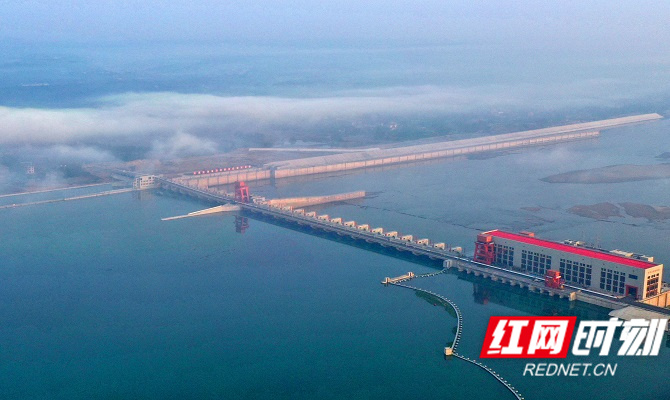 “闯世界”要赢在起点，湘企出海“合规”大考成热门