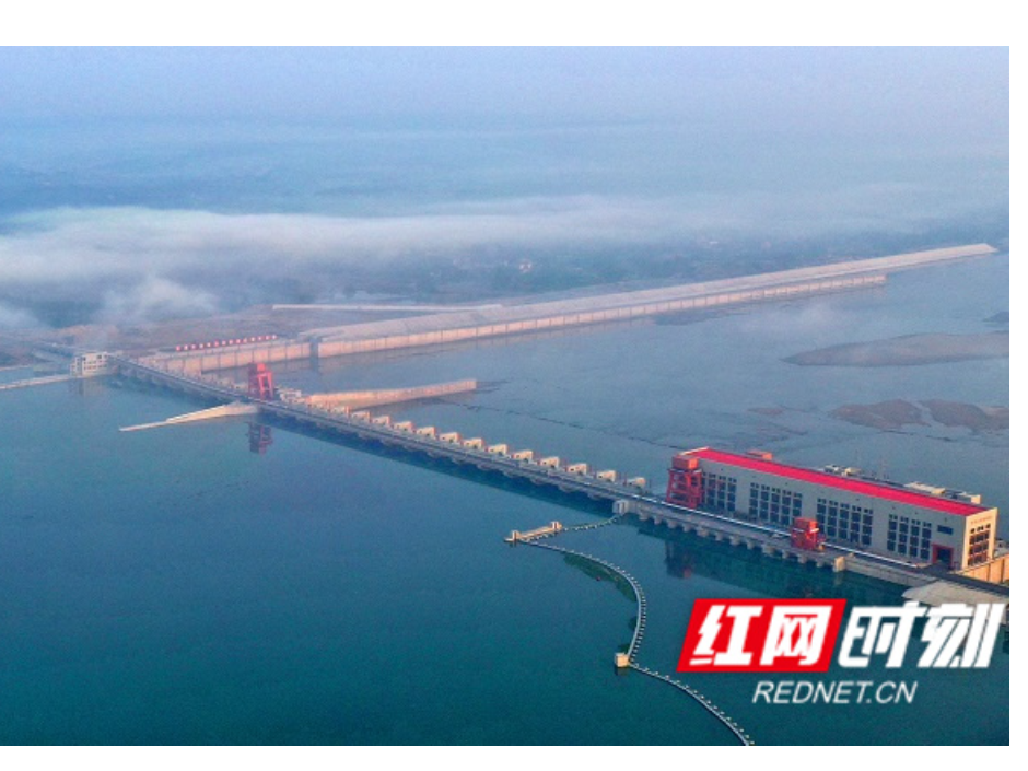 “闯世界”要赢在起点，湘企出海“合规”大考成热门