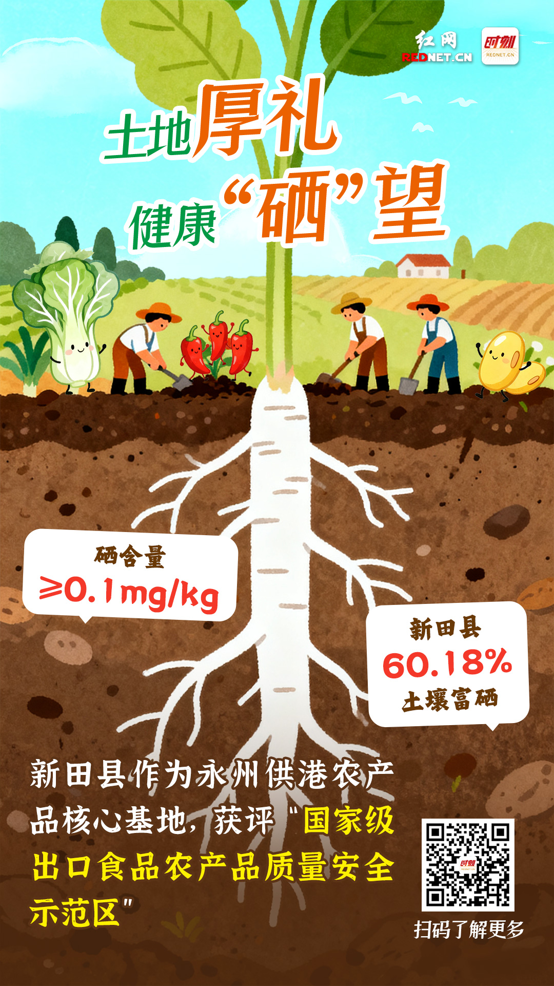 二.jpg