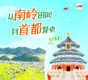 海报丨永州“硒”珍北上 健康美味入京