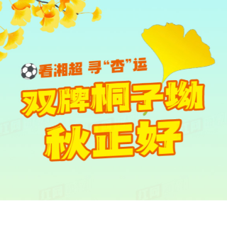 长图丨看湘超、寻“杏”运！双牌桐子坳秋正好