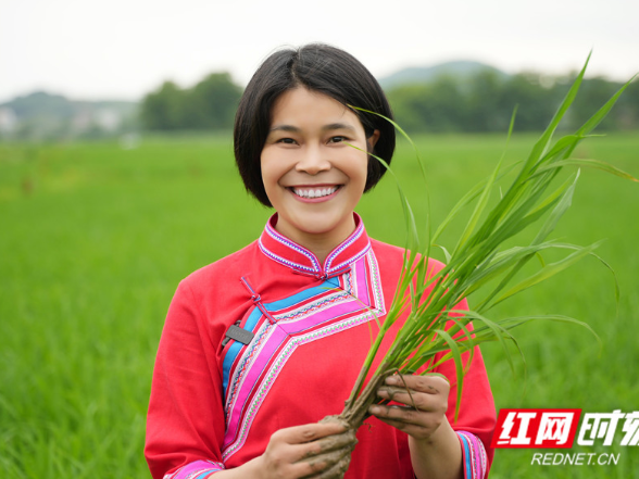 “兴”农人丨湖南瑶珍粮油蒋珍凤：从“粮心”到担当 一粒米的乡村振兴路