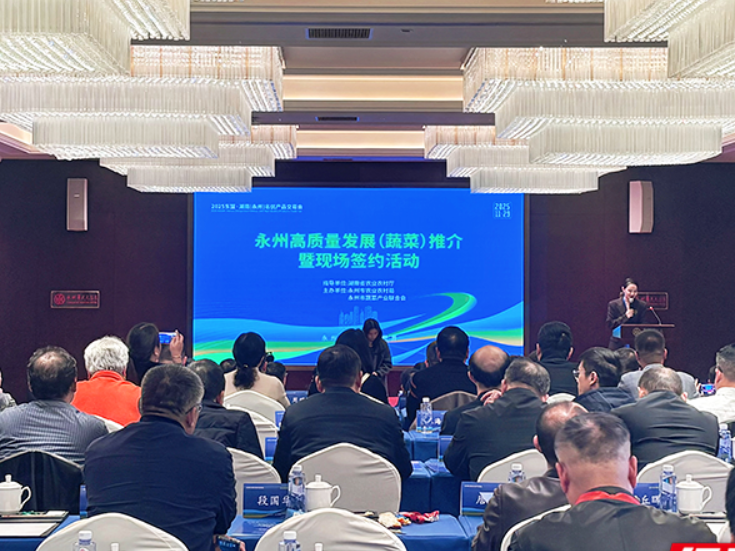 2025永州农业高质量发展（蔬菜）推介暨现场签约活动圆满举行