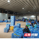 邮储银行永州市分行:为农业企业“浇灌”金融活水