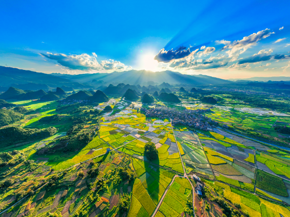 海报丨永州七大核心农产品风物长卷 细品北纬26°的生态七韵