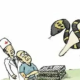 永医科普丨被不明蛇类咬伤怎么办？五做四不做！及时送医！