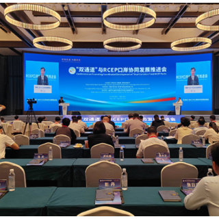 “双通道”与RCEP口岸协同发展推进会在怀化召开