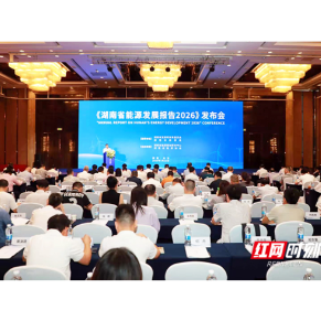 红网深度丨七本蓝皮书 读懂湖南能源“进化史”