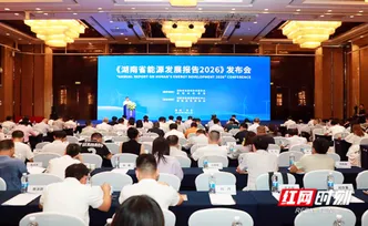 红网深度丨七本蓝皮书 读懂湖南能源“进化史”