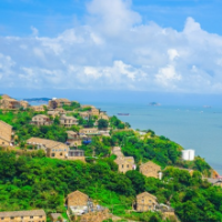 好评中国丨海利蝶变，看见中国乡村的未来