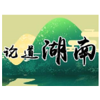 好评中国丨算力筑基未来：一场关乎国运与民生的“数字觉醒”