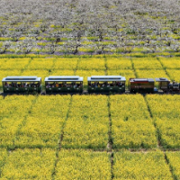好评中国丨一季度“开门红” 中国经济“暖流”涌动