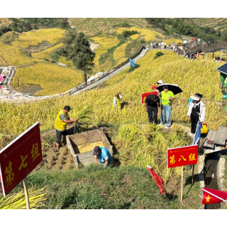 农耕大赛激活山背“新稻路” ——溆浦“云端漫步·稻浪飞歌”农耕文化竞技大赛侧记