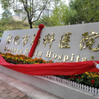 怀化市脑科医院揭牌仪式举行