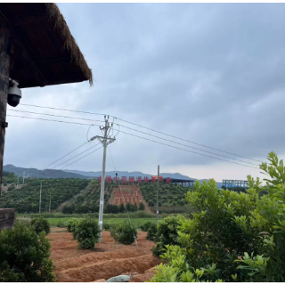 寻味之旅达人打卡记①｜大V齐聚走进靖州，探寻“茯苓之乡”的产业振兴密码