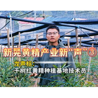 新晃黄精产业“新”声③丨龙声标：智慧水肥 守护每株黄精走向丰饶