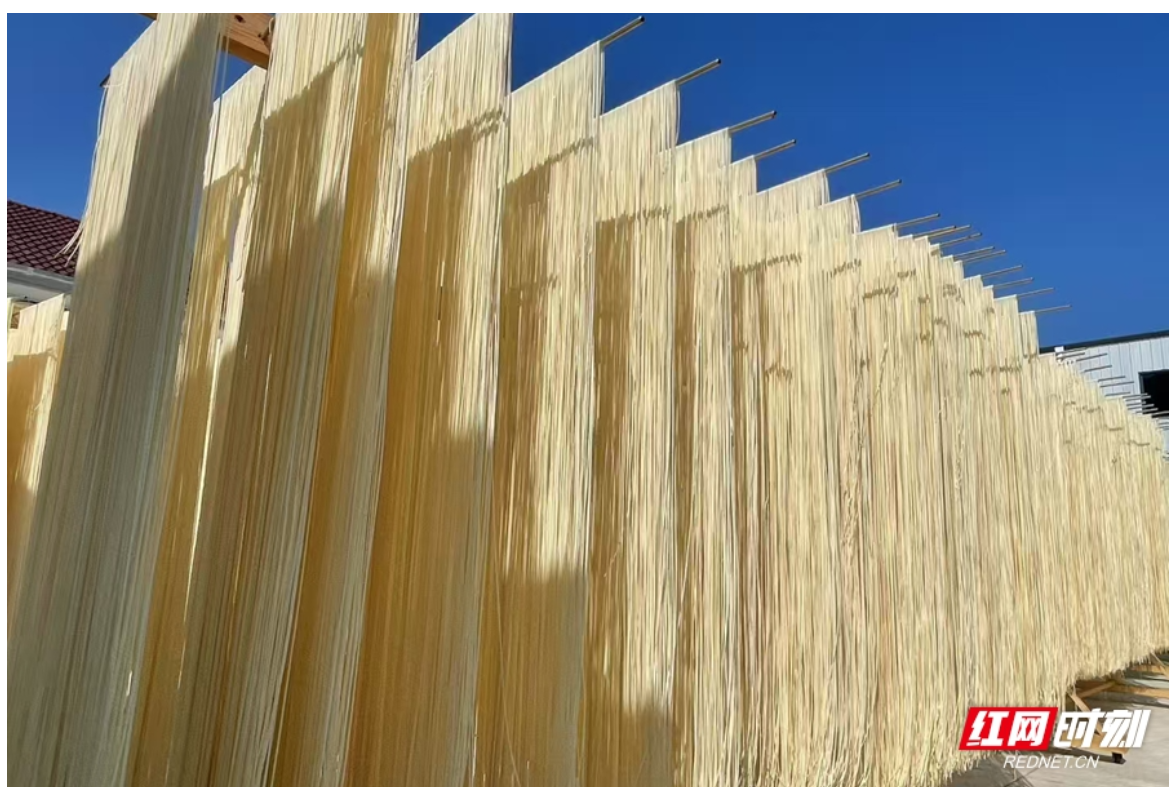 新晃黄精产业“新”声④丨杨觉震：波洲黄精晒面 百年传承成就一碗好面