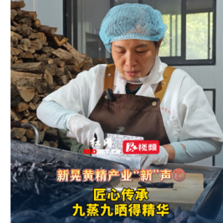 新晃黄精产业“新”声⑤丨黄美云：匠心传承 九蒸九晒得黄精精华