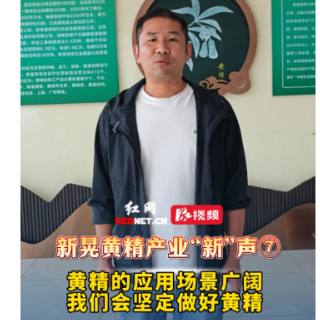 新晃黄精产业“新”声⑦丨李维：黄精的应用场景广阔 我们会坚定做好黄精