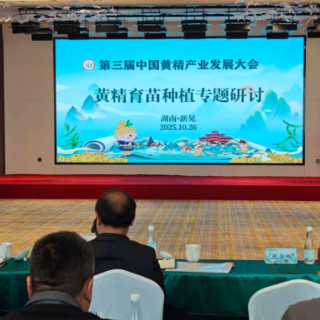 助力产业提质增效 第三届中国黄精产业发展大会黄精育苗种植专题研讨会议召开