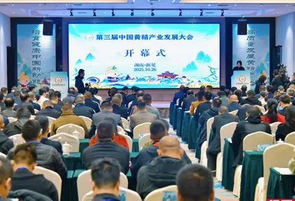 红观五溪丨新晃黄精香飘四海,国际合作共绘“金色”蓝图
