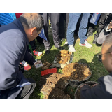 怀化:雪峰山天麻羽翼渐丰 蓄势待发