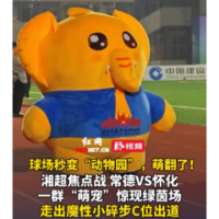视频丨湘超常德主场“萌宠军团”踏小碎步惊现 观众大呼萌翻了