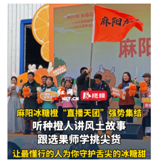 视频丨麻阳冰糖橙“直播天团”强势集结！让懂行的人为你守护舌尖的“冰糖甜”