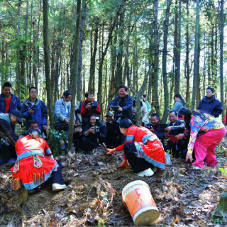 视频 | 怀化市首届“中国南方中药谷”主题摄影大赛开机