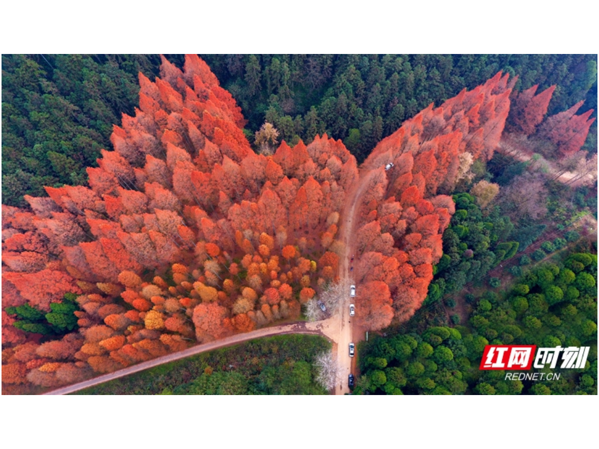 “跟着湘超游怀化”②丨赴一场山水之约 共赏五彩怀化秋韵
