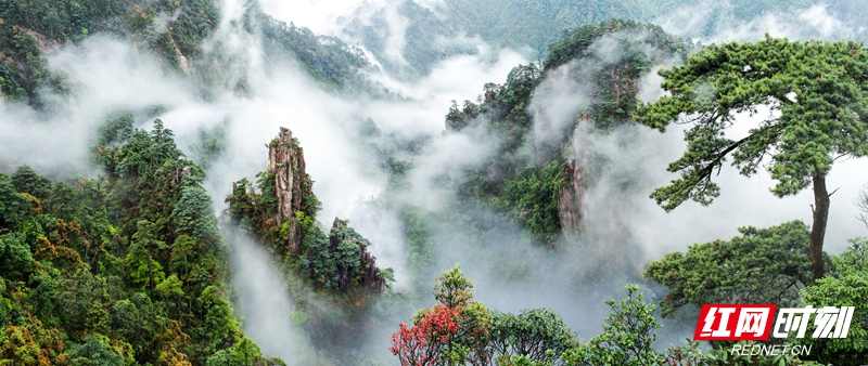 莽山将军石.jpg 莽山将军石.jpg