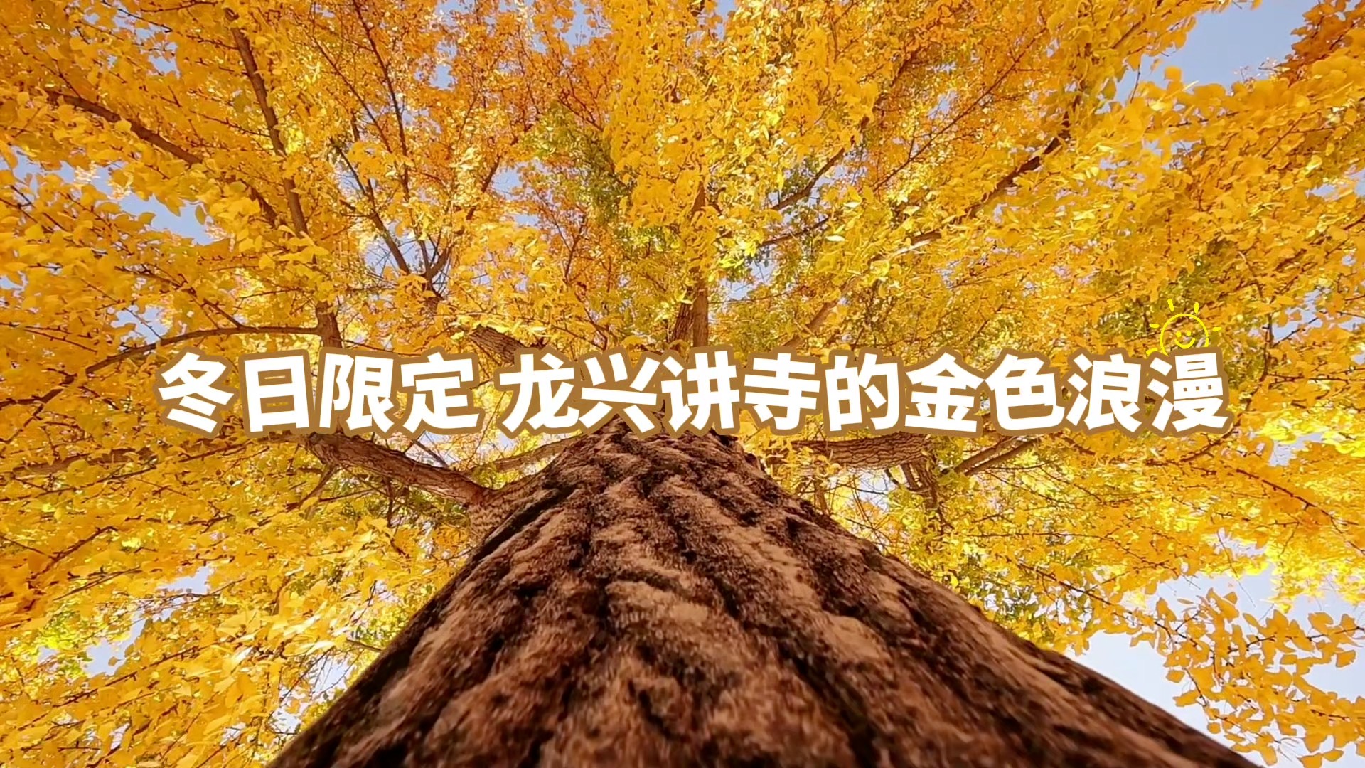 冬日限定！沅陵龙兴讲寺的金色浪漫