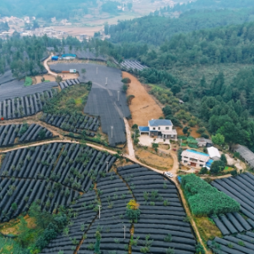 “十四五”新晃答卷④丨捧回两项国字号荣誉,让绿水青山“变现”金山银山