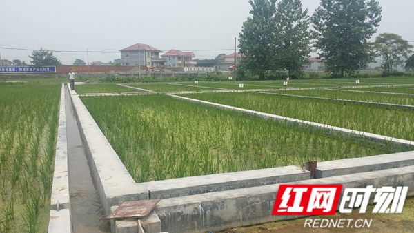 35e7dc9cb23a474883185d1d24db57c9.jpg 35e7dc9cb23a474883185d1d24db57c9.jpg